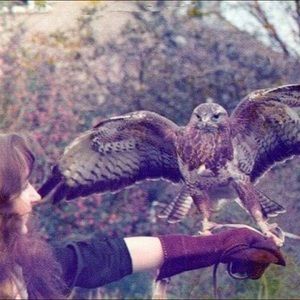 Meet your Posher, Sian